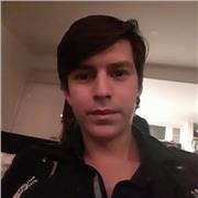 Profesor de ciencia política